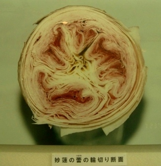 e0111793_1482840.jpg