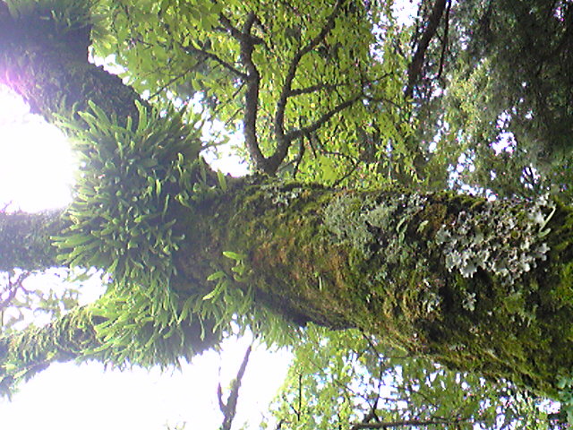 a0073000_11591126.jpg