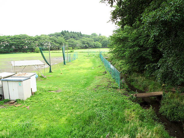 c0163001_05426.jpg