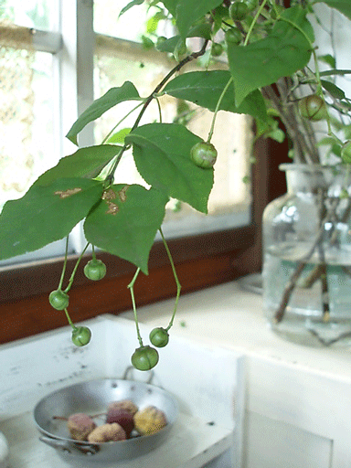 c0129702_23555656.gif
