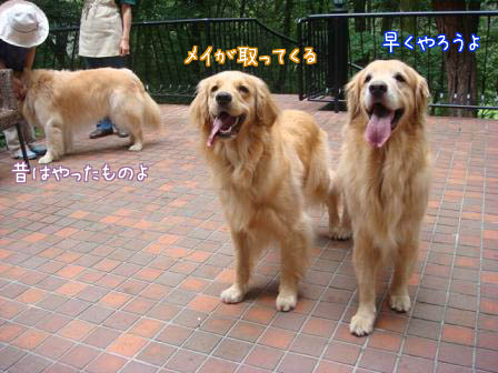 f0064906_17153864.jpg