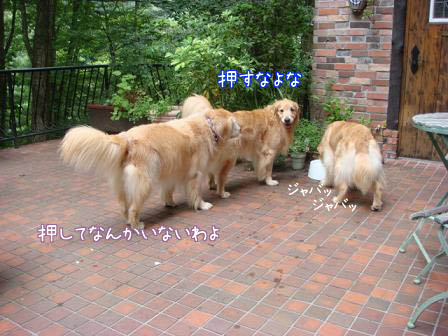 f0064906_17263659.jpg