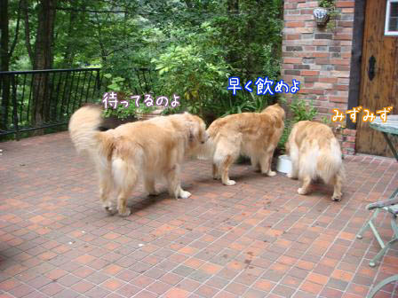 f0064906_1749079.jpg