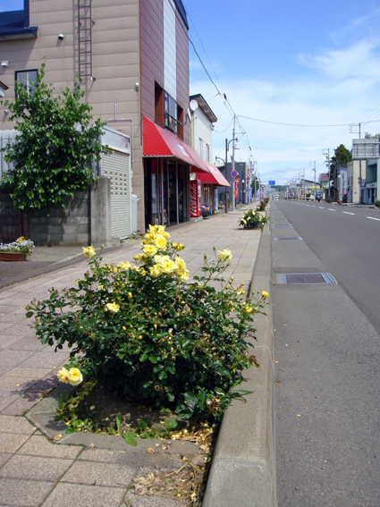 f0160407_431667.jpg