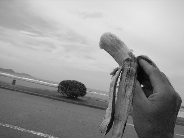 e0063309_10154860.jpg