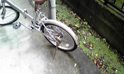 自転車が！！！_b0176514_19532495.jpg
