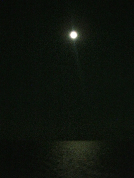 f0133814_1736141.jpg