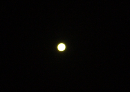 e0049015_840490.jpg