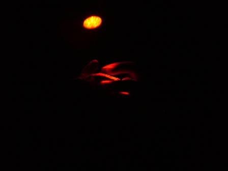 e0049015_841533.jpg