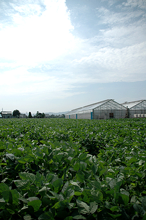 b0178923_2141429.gif