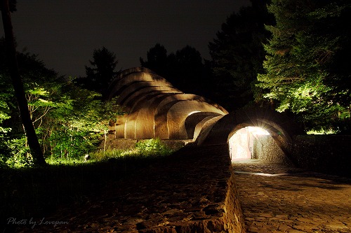 c0136926_2034470.jpg