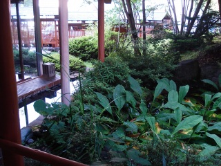 d0055236_10562411.jpg