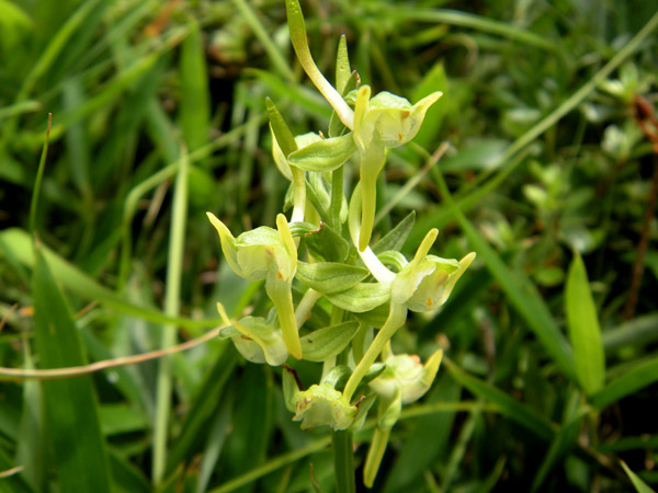 c0047341_9343850.jpg
