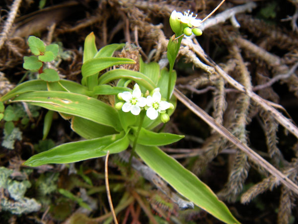 c0047341_9373281.jpg