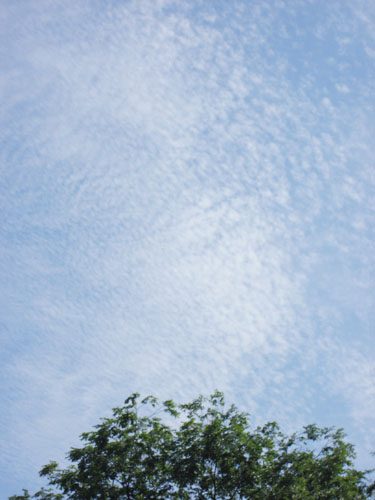 f0009457_10273343.jpg
