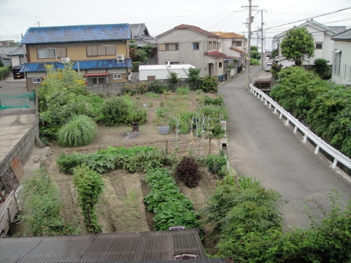 屋内作業か屋外作業か迷っています_c0108460_126169.jpg