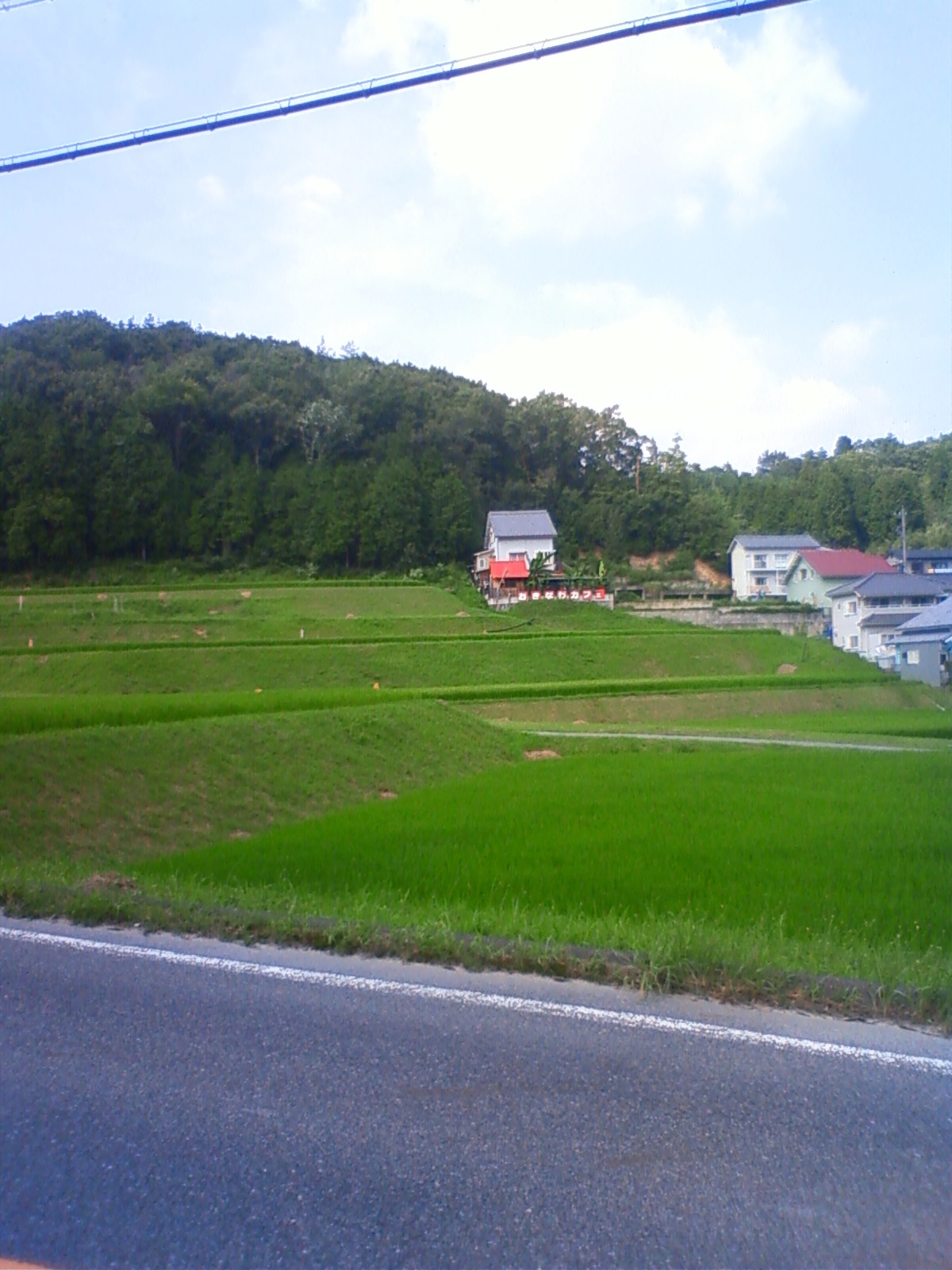 c0155364_0555347.jpg