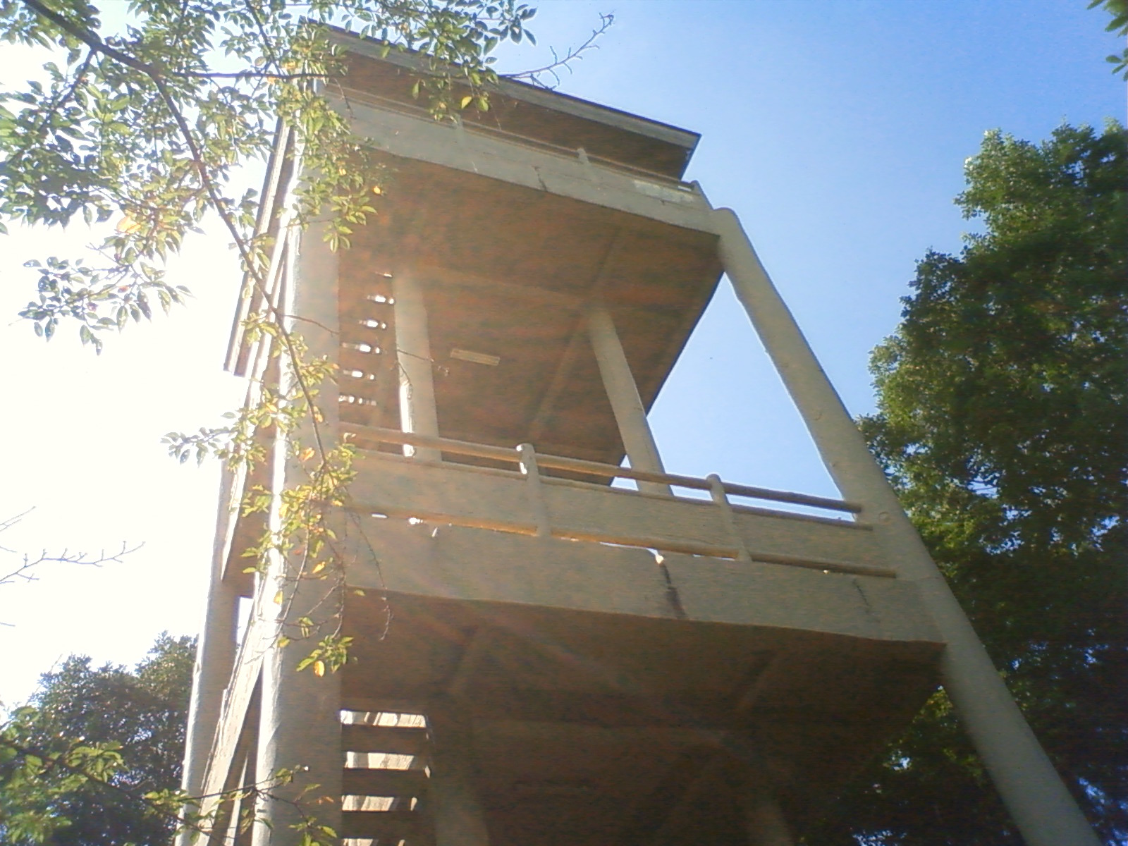 c0155364_14449.jpg