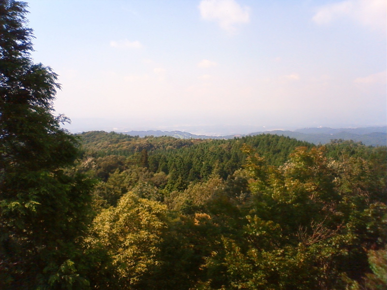 c0155364_151255.jpg