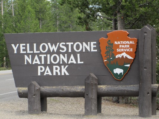 YELLOWSTONE NATIONAL PARK_c0180971_22445899.jpg