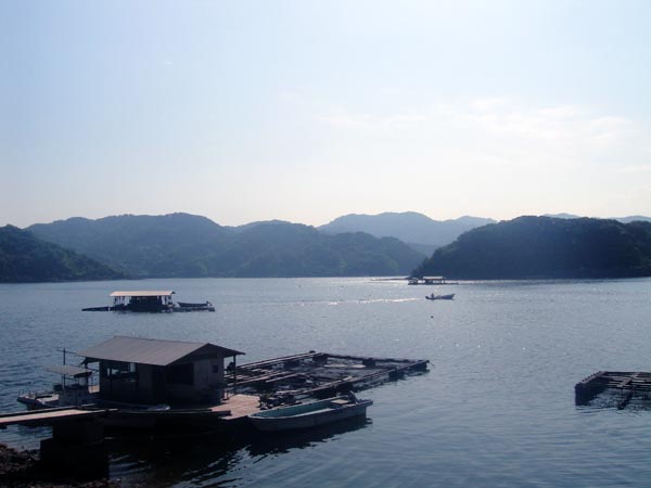 f0178087_1183658.jpg