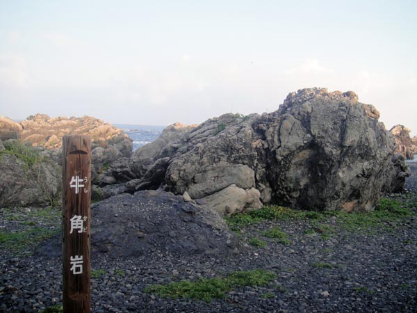 f0178087_1315858.jpg