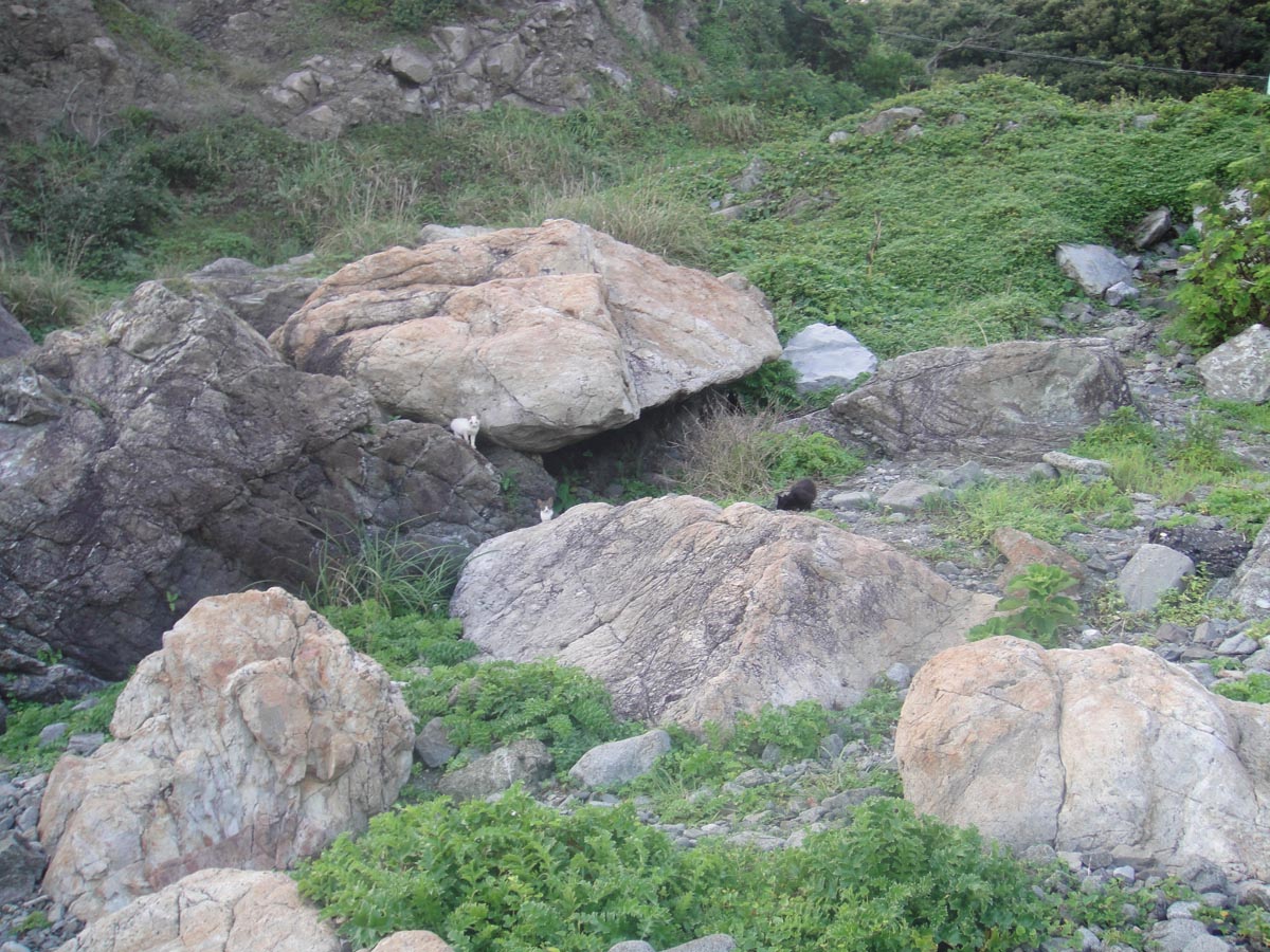 f0178087_136559.jpg