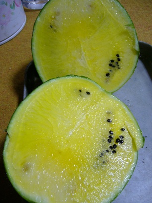 e0121790_20414341.jpg