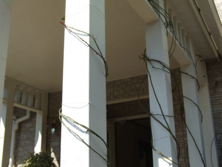 d0099791_11461857.jpg
