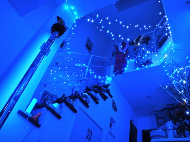 b0121693_01505.jpg