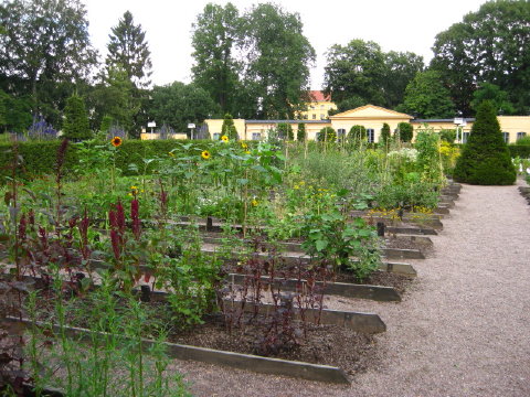 c0180096_2240065.jpg