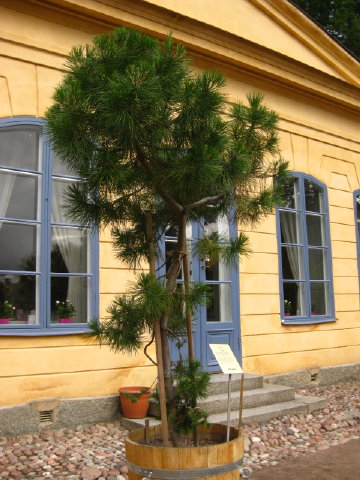 c0180096_2242041.jpg