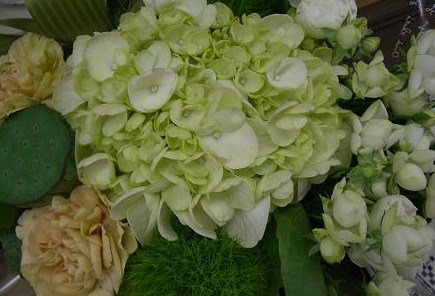 f0204896_05182.jpg
