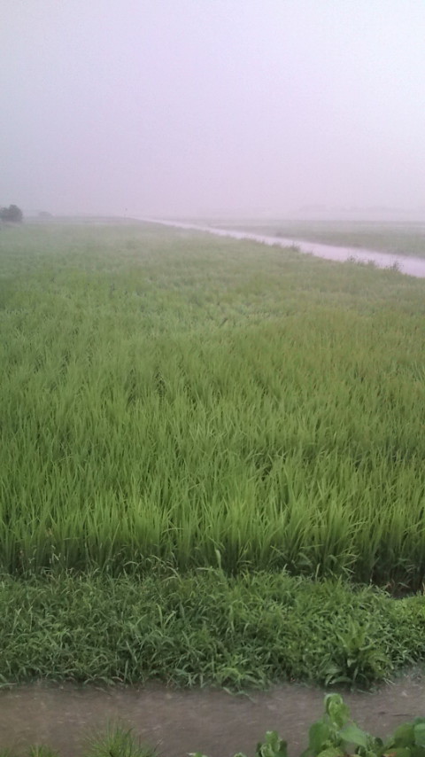 防水ケータイで豪雨★_c0100600_18301831.jpg