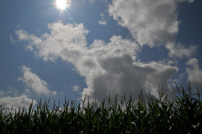 b0158403_9434415.jpg