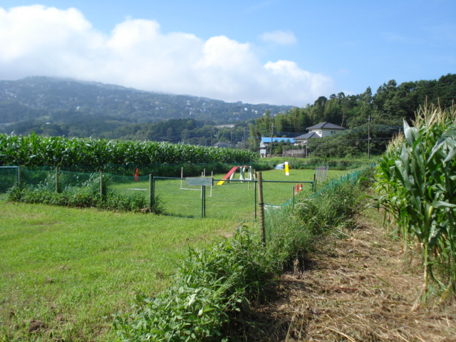 e0015108_749372.jpg