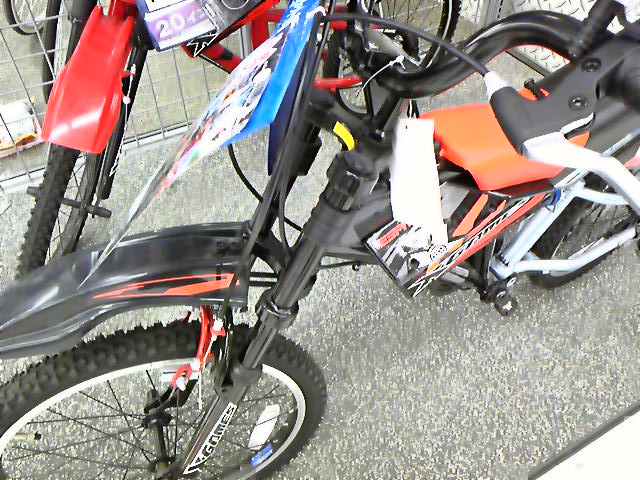 e0015108_755284.jpg