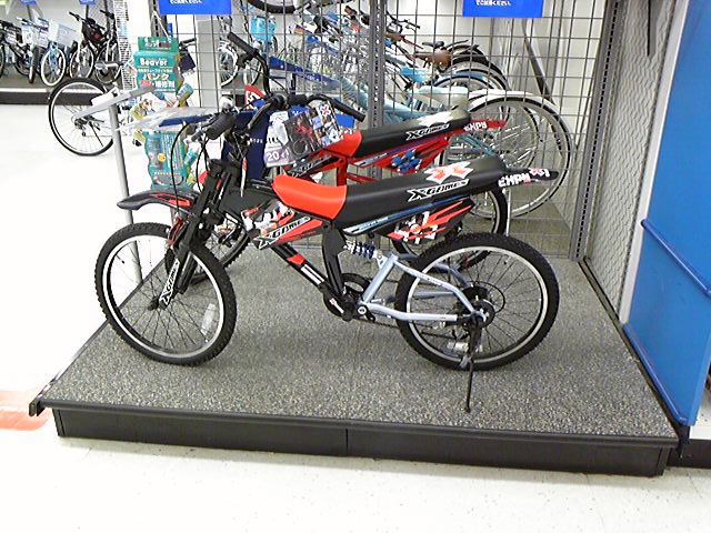 e0015108_7561130.jpg