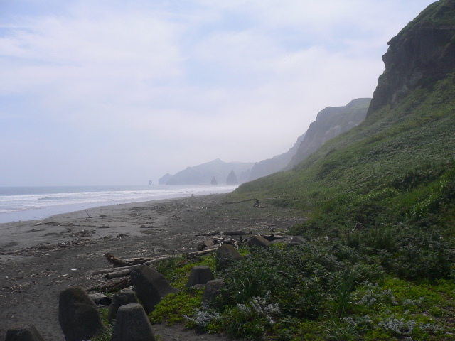 f0141209_11272558.jpg