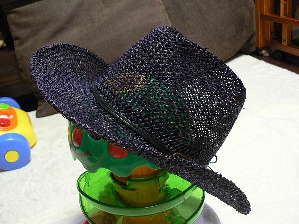 c0070412_2313714.jpg