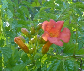 d0018315_20194436.jpg