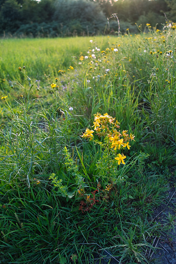 b0148617_110064.jpg