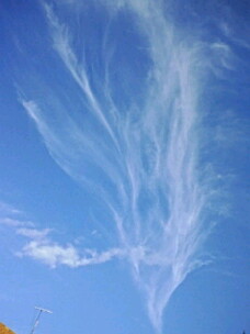 f0015517_0295271.jpg