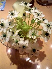 e0110119_1656017.jpg