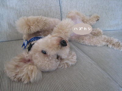 c0060920_15484425.jpg
