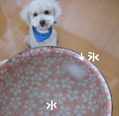 c0060920_15492079.jpg