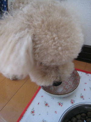 c0060920_1550013.jpg
