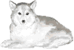 c0166720_12123322.gif