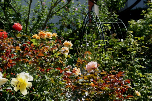 f0170524_14492425.jpg