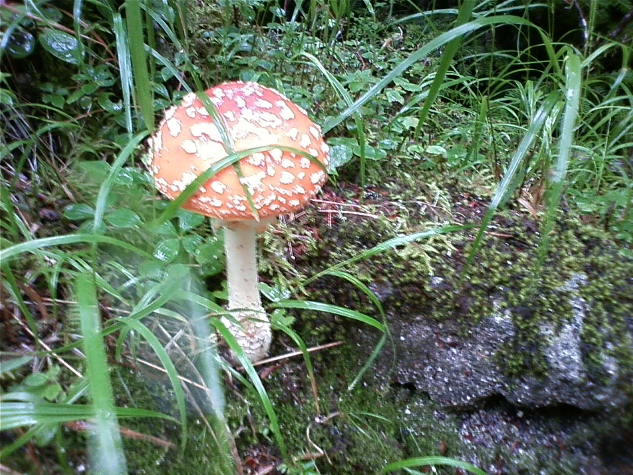 e0155231_1617584.jpg
